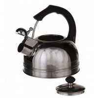 Чайник для плиты MAXMARK MK-1324