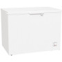 Морозильный ларь GORENJE FH301CW