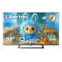 Телевизор LIBERTON LTV-32F03GT