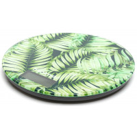 Весы кухонные Holmer HSK-1818