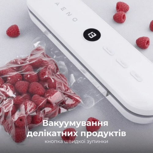 Вакуумный упаковщик AENO VS3
