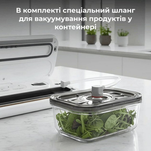 Вакуумный упаковщик AENO VS4W